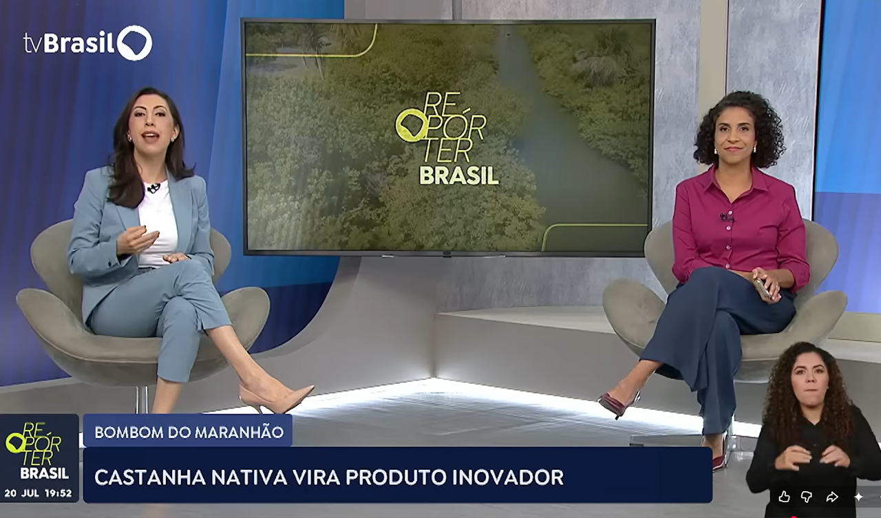 Castanha nativa vira produto inovador - TV Brasil